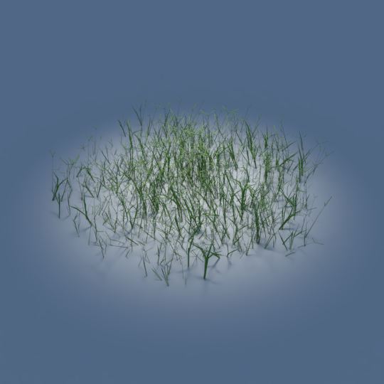 A patch of Bahia grass available in the free Radiance model repository